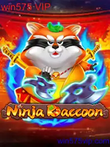 NinjaRaccoon